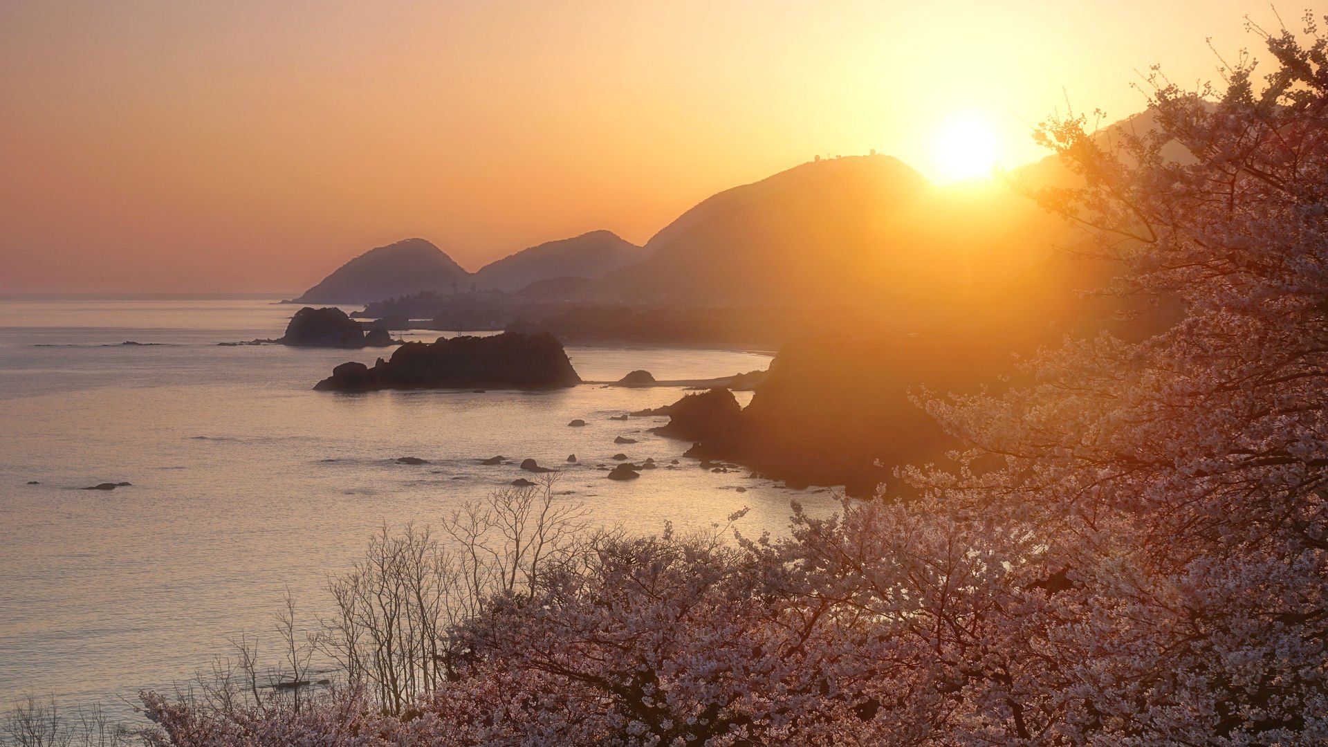 🌊 단고 마쓰시마 이미지 3